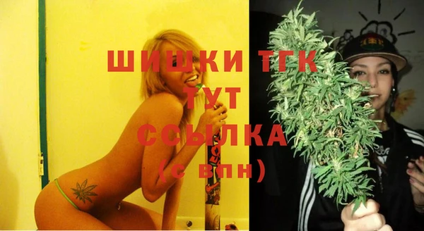 spice Пестово